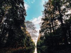 -上海长兴岛郊野公园