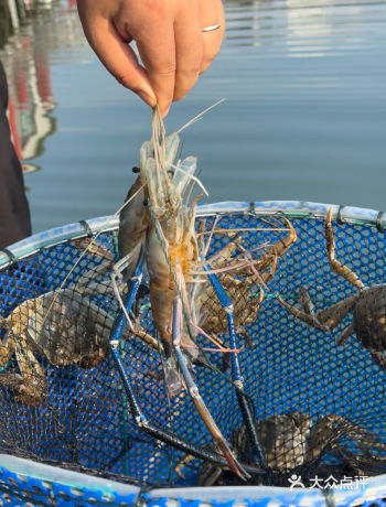 巴城这家店环境真的好好