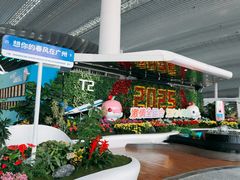 -广州白云国际机场-T2航站楼