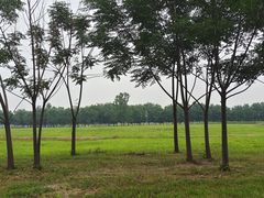 -汉长安城未央宫国家考古遗址公园