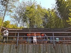 -宁波浙东大竹海景区