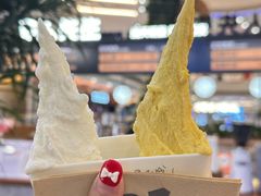 -野人先生Gelato(上海长宁龙之梦店)