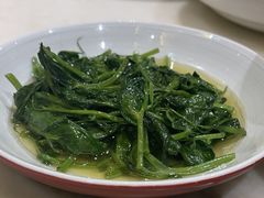 清炒豌豆尖-范家小馆·烤鸭新京菜(金融街店)