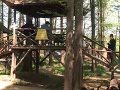 -日照海滨国家森林公园