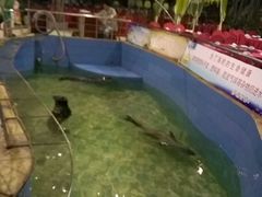 android_upload_pic-新世纪绿洲(抚顺店)