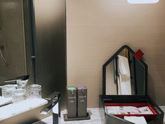 -新加坡瑞士史丹福酒店