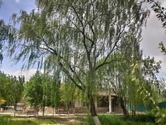 -将府公园