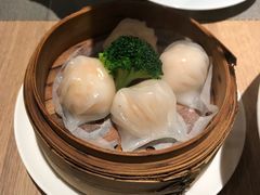 -觅唐MITONG(鸟巢店)