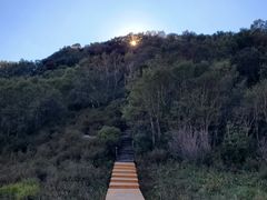 -白草畔自然风景区