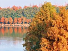 -上海海湾国家森林公园