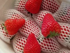 -捞鱼儿·酸菜小鱼(双塔西街店)