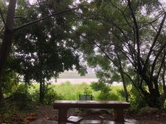 -华侨城湿地公园