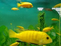 -泉州海丝野生动物世界