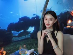-涛·海底餐厅·美人鱼·自助餐·海底隧道(三亚海棠湾洲际度假酒店)