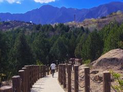 -白水寺森林公园