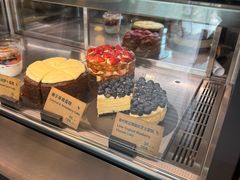 -Wagas沃歌斯(汇智店)