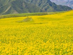 -扁都口生态休闲旅游区