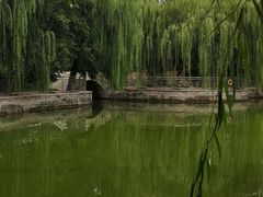 -黄村公园