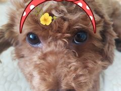 -西安华夏文旅水世界
