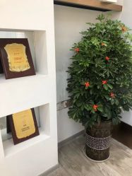 -痘院长·祛痘·科技美肤