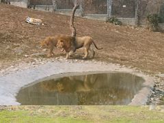 -西安秦岭野生动物园