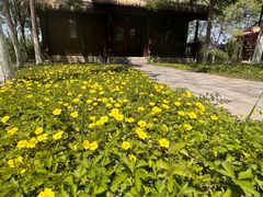 -西青郊野公园