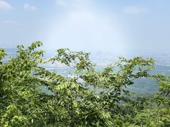 -紫金山山顶公园