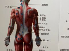 -通透堂中医·精准推拿(旗舰店)