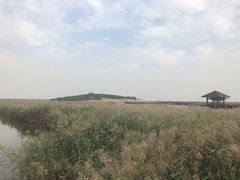 -南大港湿地风景区