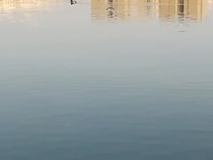 -东湖公园