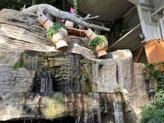 -南宫五洲植物乐园