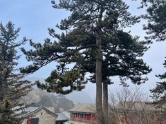 -妙峰山风景名胜区