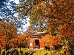 -窦圌山风景区