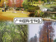 -广州国际生物岛