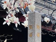 -龙华寺