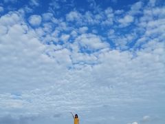 -漩门湾国家湿地公园