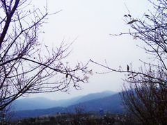 :\Documents&nbsp;and&nbsp;Settings\wo\桌面\1069323436624022120-天适樱花悠乐园