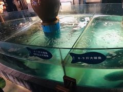 -坛宗剁椒鱼头(河西王府井店)