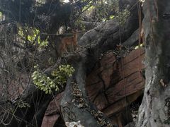 -横店影视城梦幻谷园区