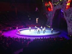 -珠海横琴长隆《卡卡虎奇遇记》