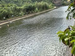 -严子陵钓台(富春江小三峡)