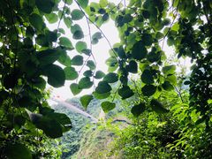 -太湖源风景区