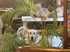 -咖法森林·咖啡  酒吧(天河店)