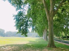 -河南省黄河迎宾馆