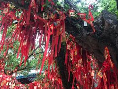 -国恩寺
