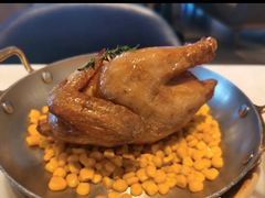 可乐春鸡-港丽餐厅(高德置地店)