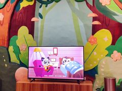 -MR.ZOO小小动物元室内动物园(沈阳沈河盛京中心)
