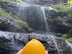 -千峡湖生态旅游度假区