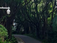 -深圳国际园林花卉博览园