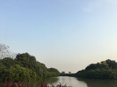 -大湾区中央湿地公园